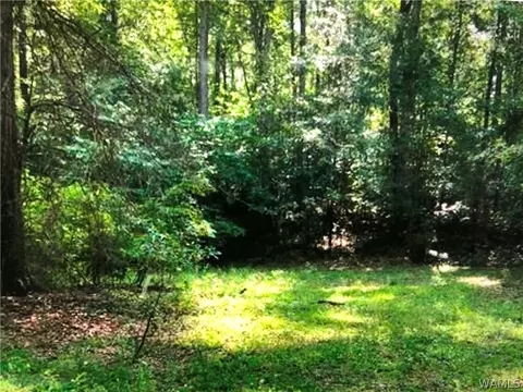 0000 Propst Rd, Duncanville, AL 35456