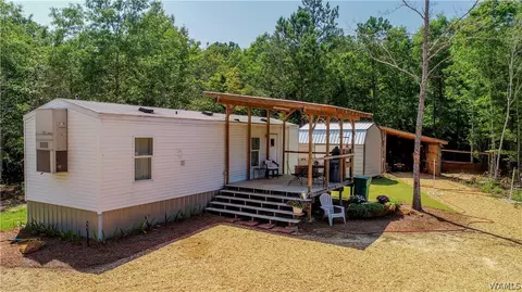 17923 Romulus Rd, Ralph, AL 35480 photo 2