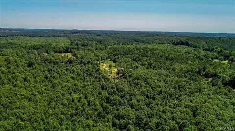 17923 Romulus Rd, Ralph, AL 35480 photo 13