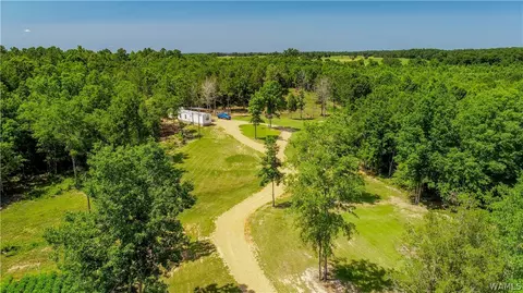 17923 Romulus Rd, Ralph, AL 35480 photo 11