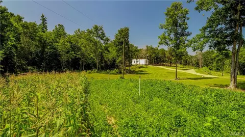 17923 Romulus Rd, Ralph, AL 35480 photo 22