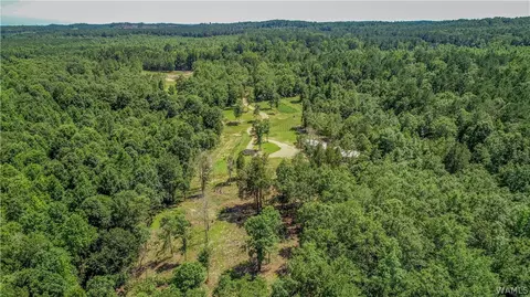 17923 Romulus Rd, Ralph, AL 35480 photo 14