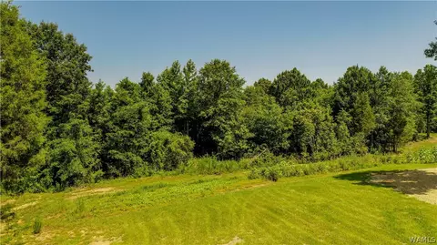 17923 Romulus Rd, Ralph, AL 35480 photo 20