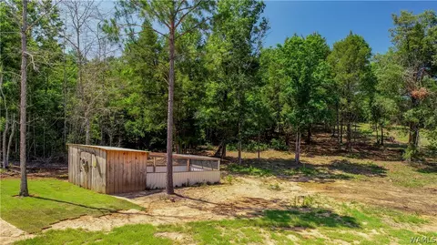 17923 Romulus Rd, Ralph, AL 35480 photo 19