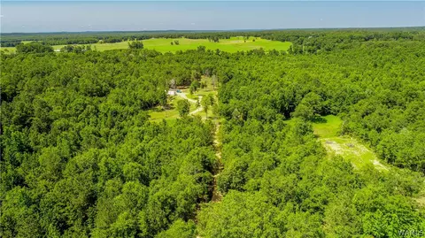 17923 Romulus Rd, Ralph, AL 35480 photo 15