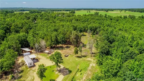 17923 Romulus Rd, Ralph, AL 35480 photo 10