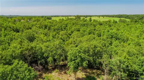 17923 Romulus Rd, Ralph, AL 35480 photo 16