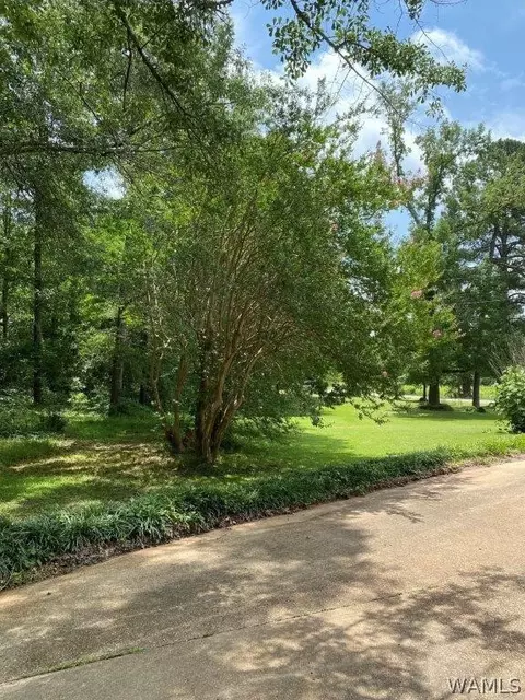 33 Cooper Dr, Reform, AL 35481 photo 13