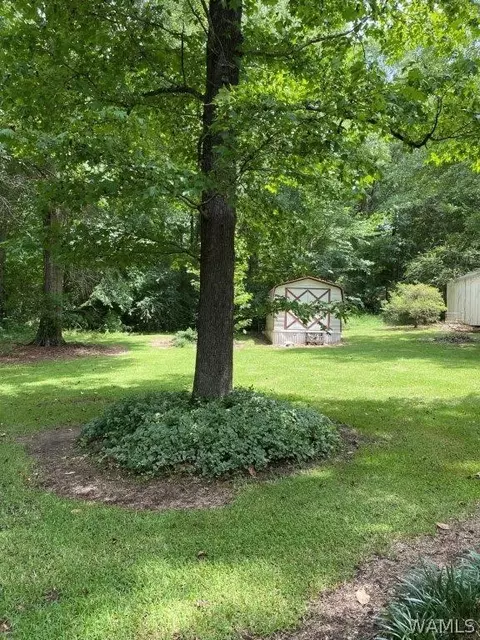 33 Cooper Dr, Reform, AL 35481 photo 9
