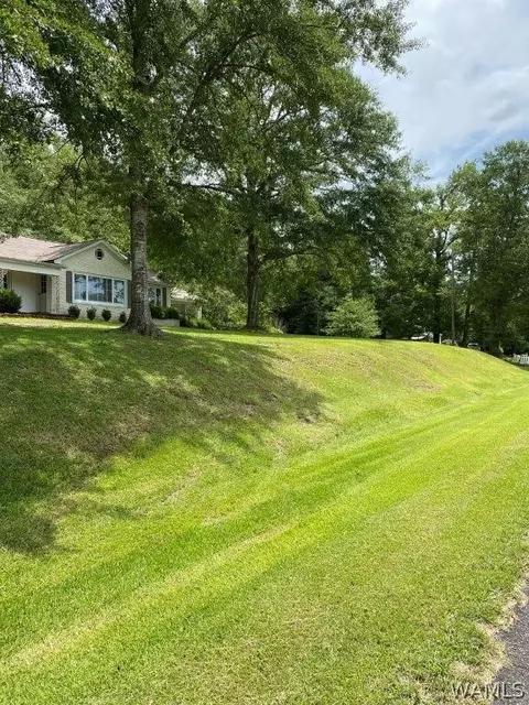 33 Cooper Dr, Reform, AL 35481 photo 3