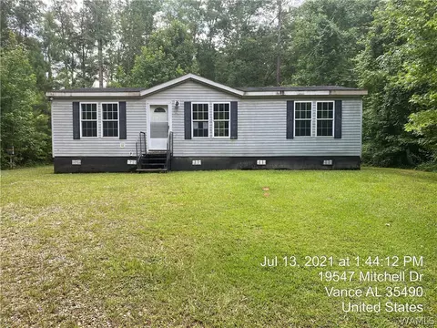 19547 Mitchell Dr, Vance, AL 35490 photo 1