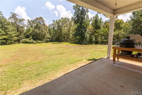 12476 Timberlane Rd, Ralph, AL 35480 photo 39