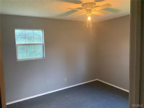 705 E Jefferson St, Demopolis, AL 36732 photo 19