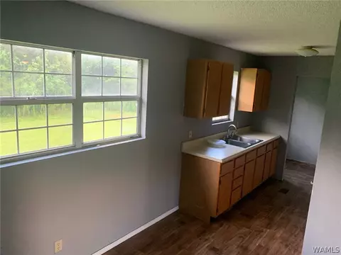 705 E Jefferson St, Demopolis, AL 36732 photo 9