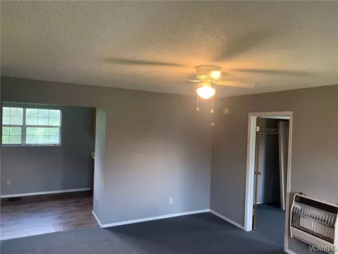 705 E Jefferson St, Demopolis, AL 36732 photo 6