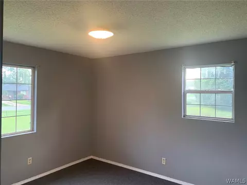 705 E Jefferson St, Demopolis, AL 36732 photo 18