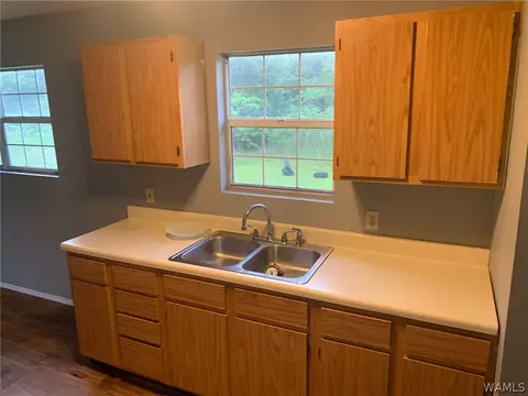 705 E Jefferson St, Demopolis, AL 36732 photo 23