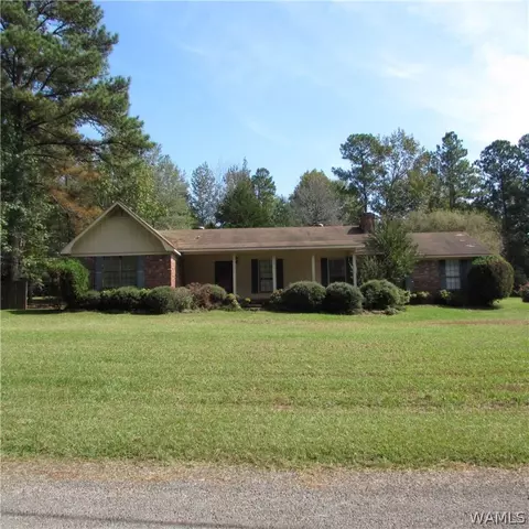 385 Juniper St, Winfield, AL 35594 photo 1