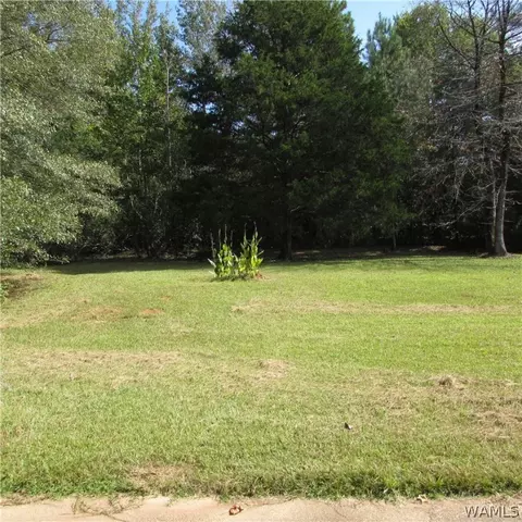 385 Juniper St, Winfield, AL 35594 photo 22
