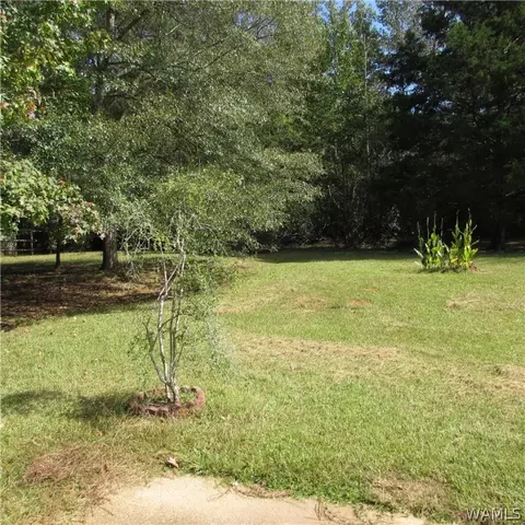 385 Juniper St, Winfield, AL 35594 photo 24