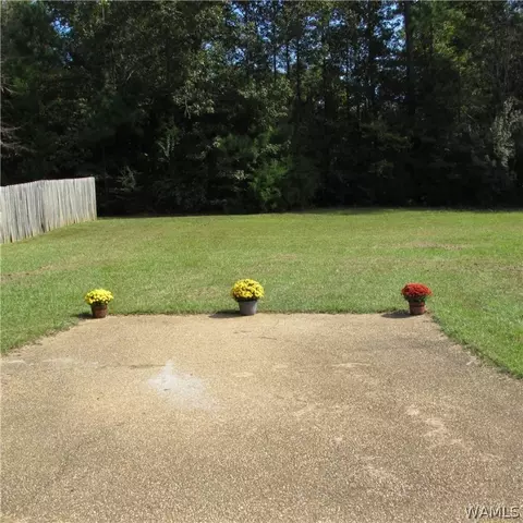 385 Juniper St, Winfield, AL 35594 photo 39