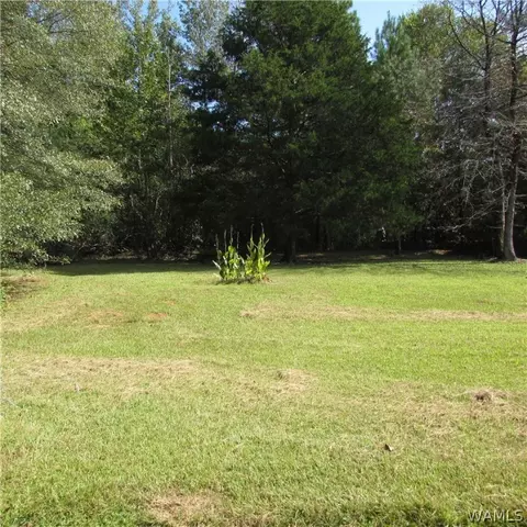 385 Juniper St, Winfield, AL 35594 photo 25