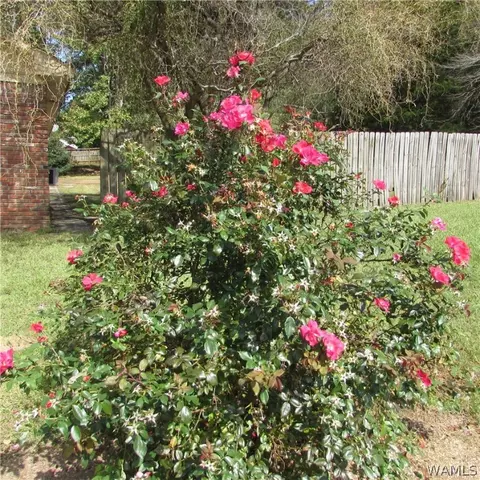 385 Juniper St, Winfield, AL 35594 photo 37
