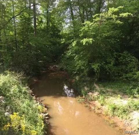 00 Parker Rd, Fayette, AL 35555