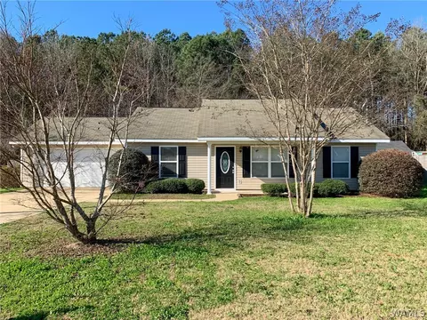 18354 Peyton Ln, Vance, AL 35490 photo 1
