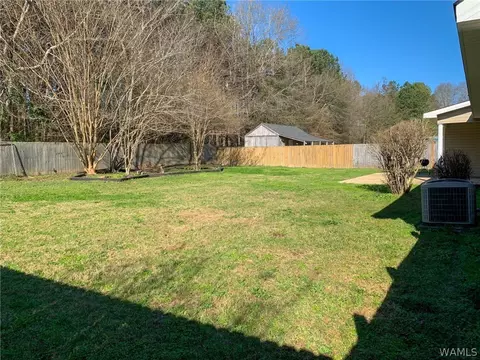 18354 Peyton Ln, Vance, AL 35490 photo 27