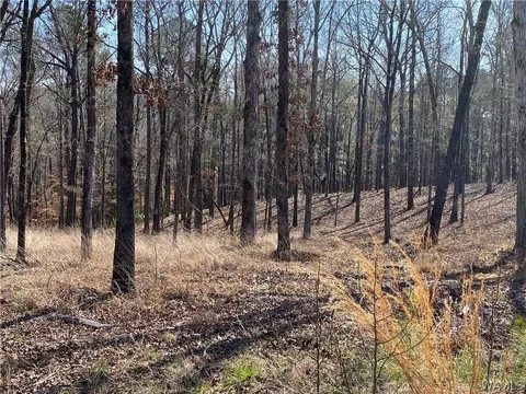 lot Apt 24 Edgewater Dr, Northport, AL 35475