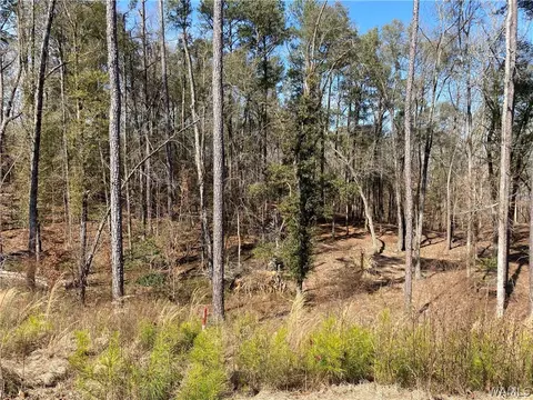 Lot #50 Highpoint Cove, Northport, AL 35475