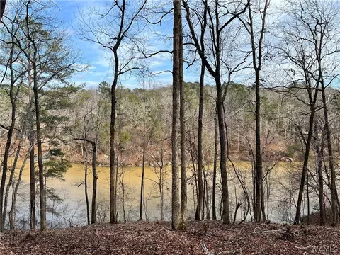 Lot #71 Highpoint Cove, Northport, AL 35475