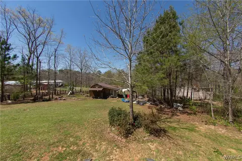 12518 Patsy Dr, Mc Calla, AL 35111 photo 18
