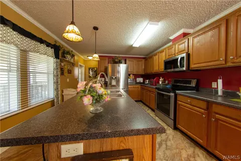12518 Patsy Dr, Mc Calla, AL 35111 photo 4