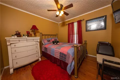 12518 Patsy Dr, Mc Calla, AL 35111 photo 11