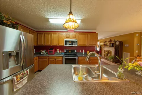 12518 Patsy Dr, Mc Calla, AL 35111 photo 5