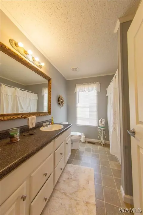 12518 Patsy Dr, Mc Calla, AL 35111 photo 9