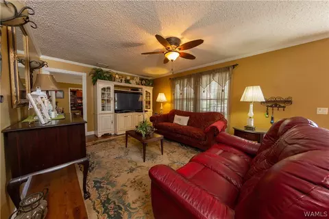 12518 Patsy Dr, Mc Calla, AL 35111 photo 2