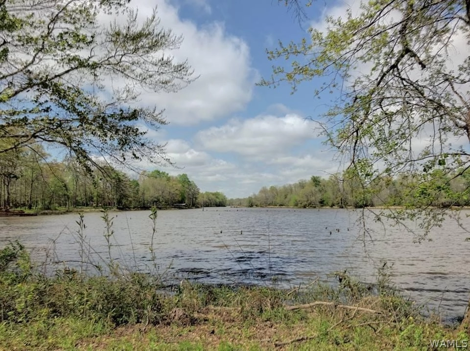 54 Black Warrior Bay  