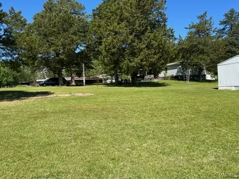 190 Bee Keeper Ct, Demopolis, AL 36732 photo 2