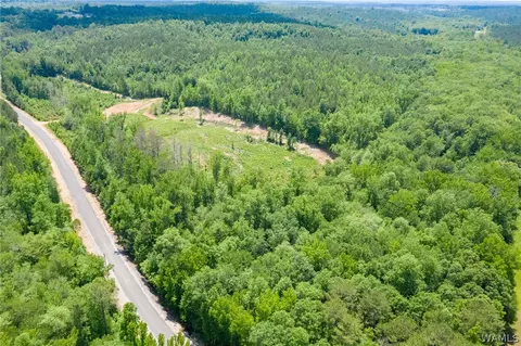 14436 Brown Rd, Northport, AL 35475