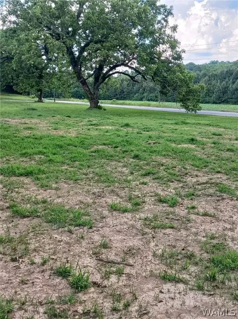 2094 Oakman Parrish Rd, Parrish, AL 34219 photo 41