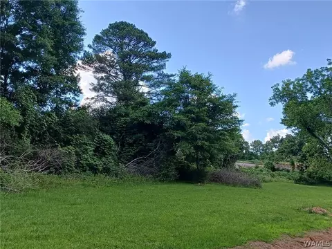 2094 Oakman Parrish Rd, Parrish, AL 34219 photo 38