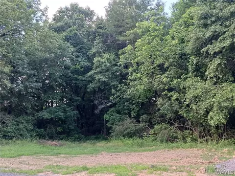 2094 Oakman Parrish Rd, Parrish, AL 34219 photo 39