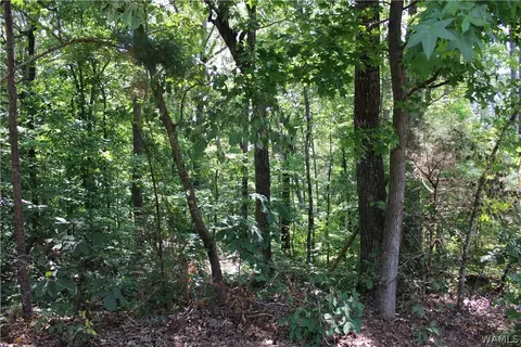 00 Oak Forest Dr, Mc Calla, AL 35111