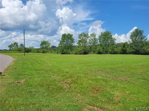 49 Lackey Ln, Fosters, AL 35463