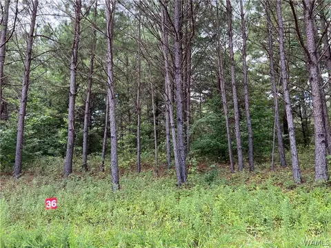 036 Crimson Ridge Cir, Brookwood, AL 35444