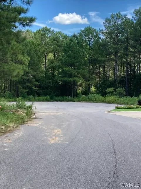 039 Crimson Ridge Cir, Brookwood, AL 35444