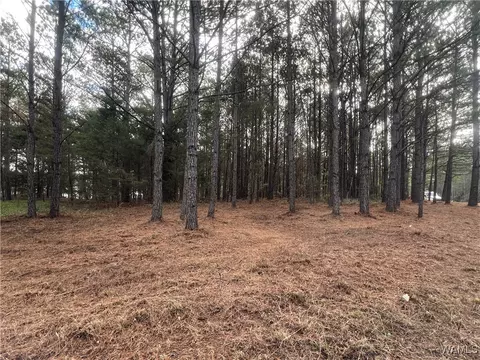 044 Crimson Ridge Cir, Brookwood, AL 35444